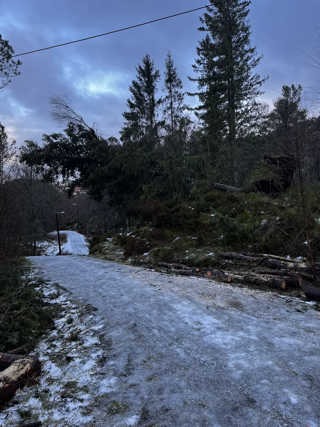 Tømmer lagt til side langs en ryddet vei etter trefelling